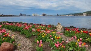 south pier inn garden tulips in full bloom